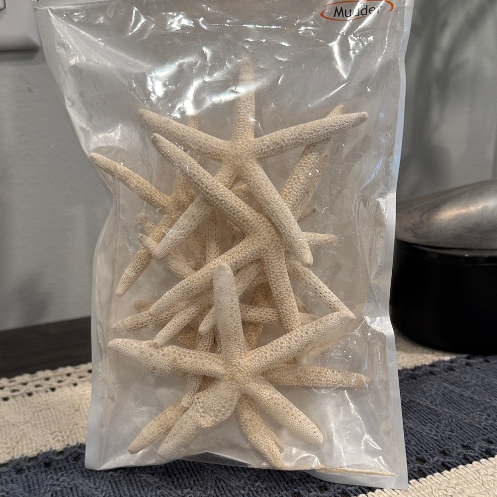 Mudd Natural Starfish Decor - Cream